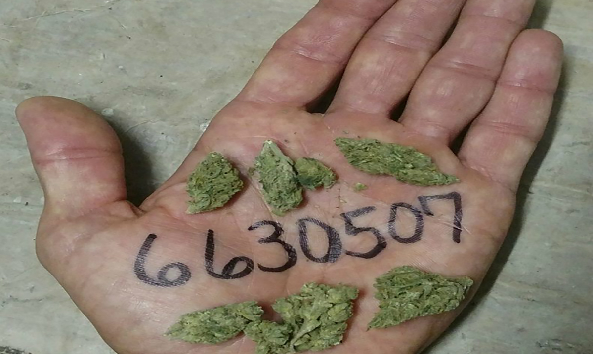 Why Cannabis Users Are Writing This Number on Their Hands and Posting It Online