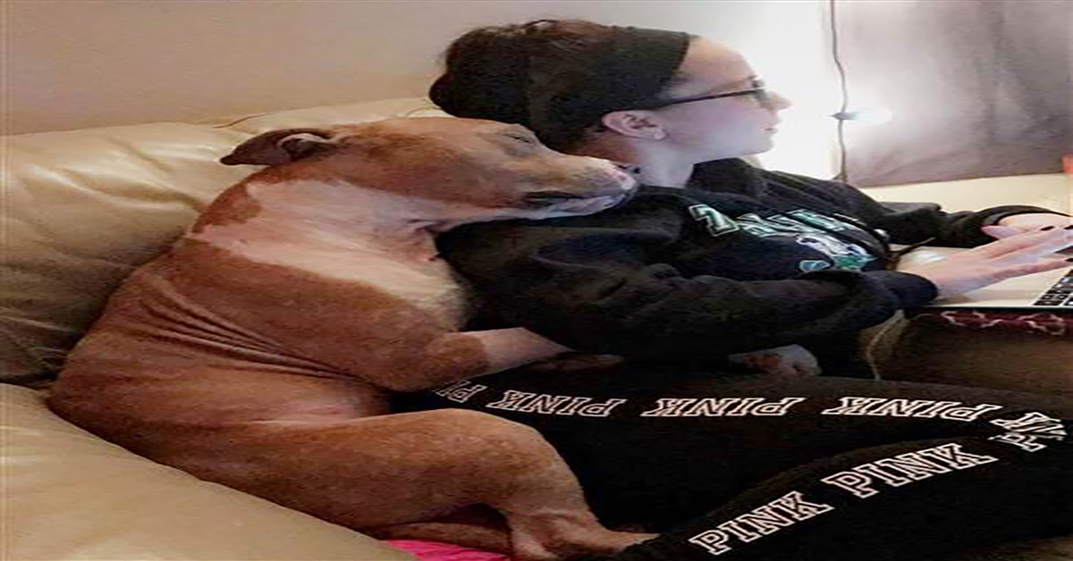 Grateful’ Dog Snuggles New Mom Who Rescued Him From Shelter