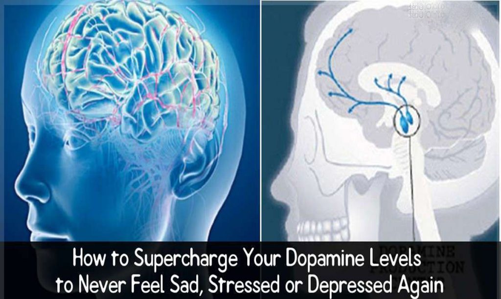 How to Supercharge Your Dopamine Levels to Never Feel Sad, Stressed or