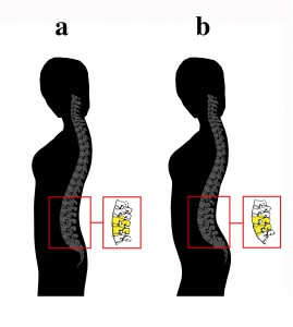 curves, curves in women, physical attraction